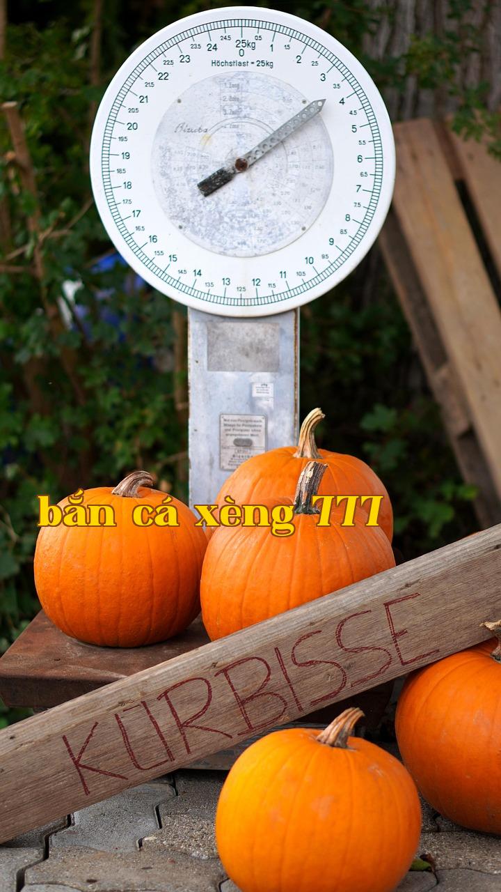 Lựa chọn giữa thành phố lớn hay quê hương nhỏ - nohu52.win